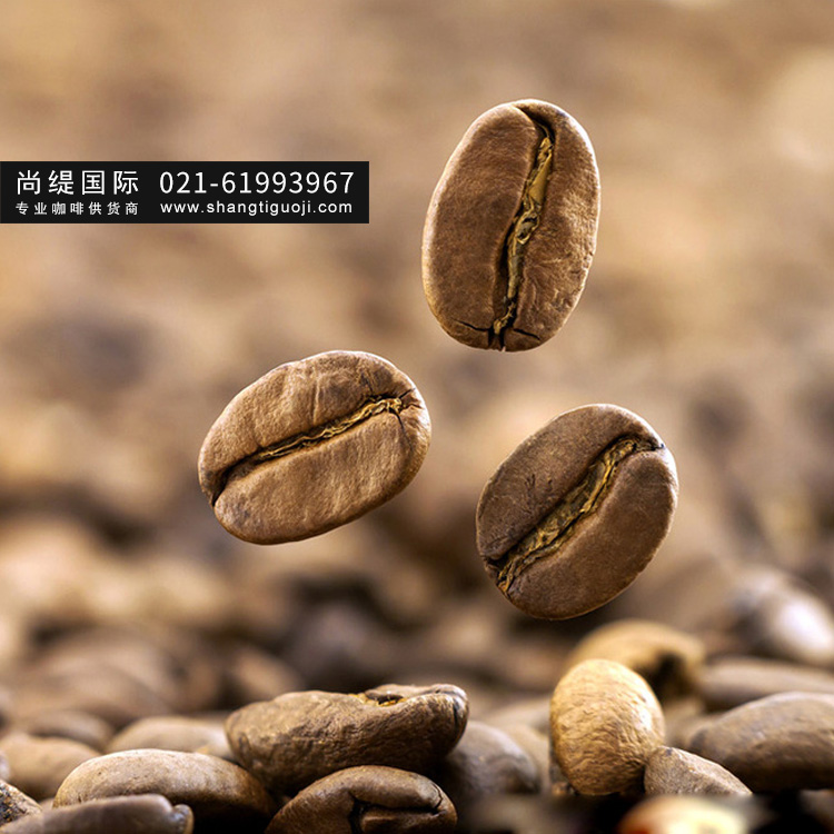 咖啡豆品牌