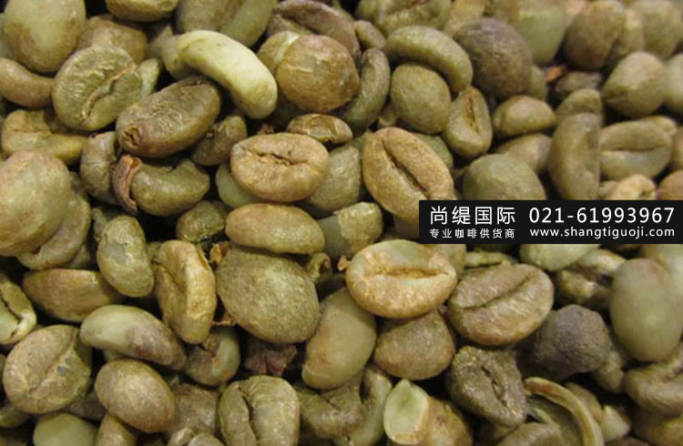 云南咖啡生豆