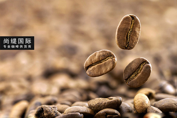 咖啡豆批发公司