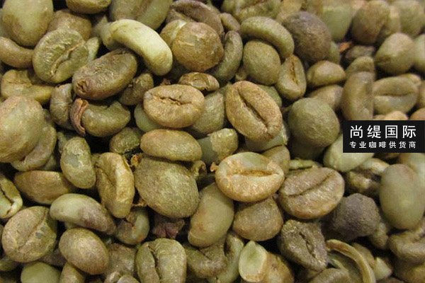 生咖啡豆咖啡销售，上海咖啡豆生豆批发公司